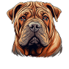 Shar Pei