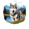 Husky
