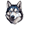 Husky