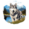 Husky