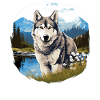 Husky