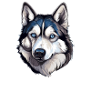 Husky