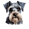 Schnauzer