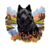 Schipperke