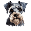 Schnauzer