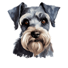 Schnauzer