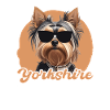 Yorkshire Terrier Papa
