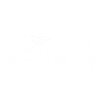 Skihase