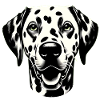 Hundegesicht Dalmatiner