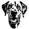 Dalmatian