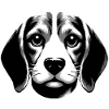 Beagle | cute dog face smiles
