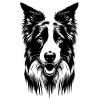 Collie Labrador | Dog face