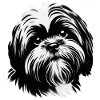 Visage de chien ami fidèle