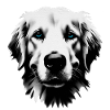Dog Golden Retriever
