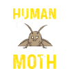Moths Insect Collector Entomologist