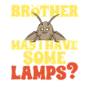 Moths Insect Collector Entomologist