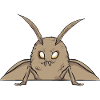 Moths Insect Collector Entomologist