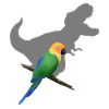 T-Rex shadow parrot