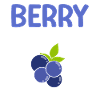 Blueberry, Fruit, Blueberry