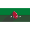 RUGBY ENGLAND PANORAMA