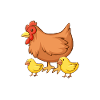 Oui, je parle aux poules