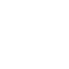 Roller Coaster Roller Coaster Rider