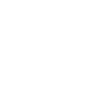 Space Butterfly