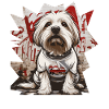Maltese dog