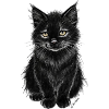 Chat noir T-shirt classique.