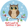 Owliday Affection