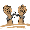 Freedom