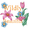 wildy beautiful