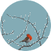 Winterbird