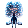 The Brain