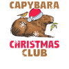 Capybara Snow Christmas Capybara Winter