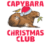 Christmas Capybara Winter Capybara Snow