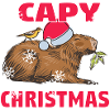 Capybara Neige Noël Capybara Hiver