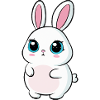 Doux petit lapin, quelle mignonne !