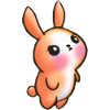 Bébé lapin, quelle mignonne