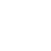 Name - Levi