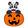 Panda Halloween Citrouille