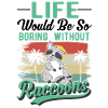 Raccoon Gift Raccoon