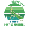 Gottesanbeterin Geschenk Mantis Fangschrecke