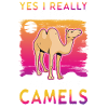 Camel Lover Egypt