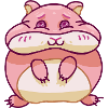 Hamster