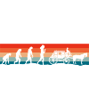 Calèche Profession Hobby