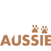 Dog Loved By A Aussie