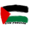Free Palestine Flag