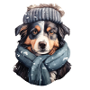 Australian Shepherd in Winter Wonderland