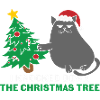Chat cadeau - Noël cadeau chat